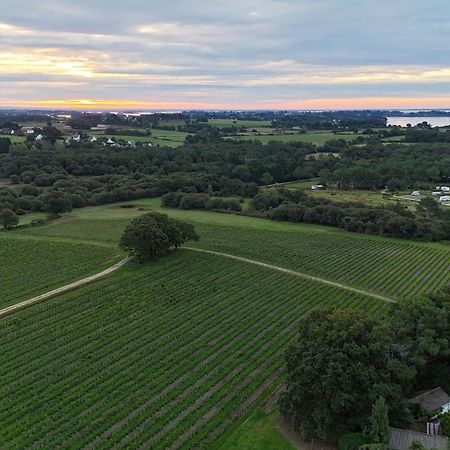 Gite -L'Appart- Au Vignoble Domaine Lamballe, Baden, Golfe Du Morbihan Экстерьер фото